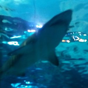 Meet your Posher, Leanne